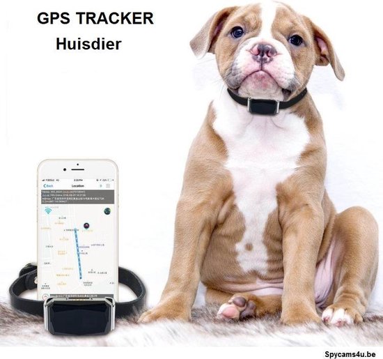 Gps tracker kat beste gps halsband tracker voor uw kat kopen
