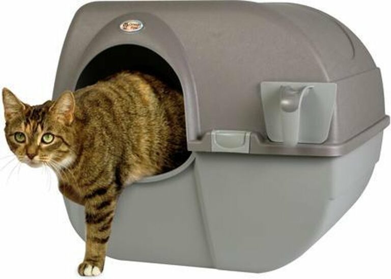 Kattenbak Volledig Gesloten Kattenbak Grote Geïnte