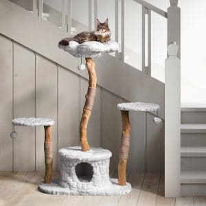 realistische kattenboom van echt hout