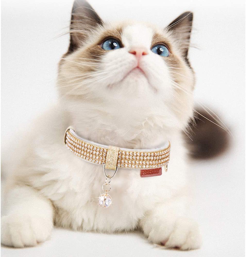 blinged out cat collar