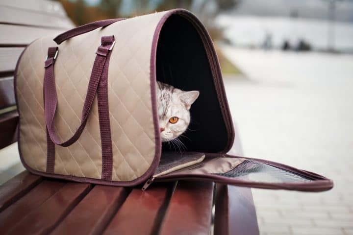 4 beste Cat Carrier Covers