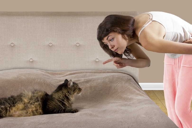 jonge vrouw scheldt haar kat uit op het bed
