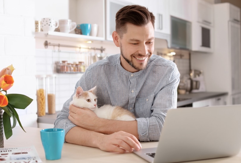 man met kat en laptop