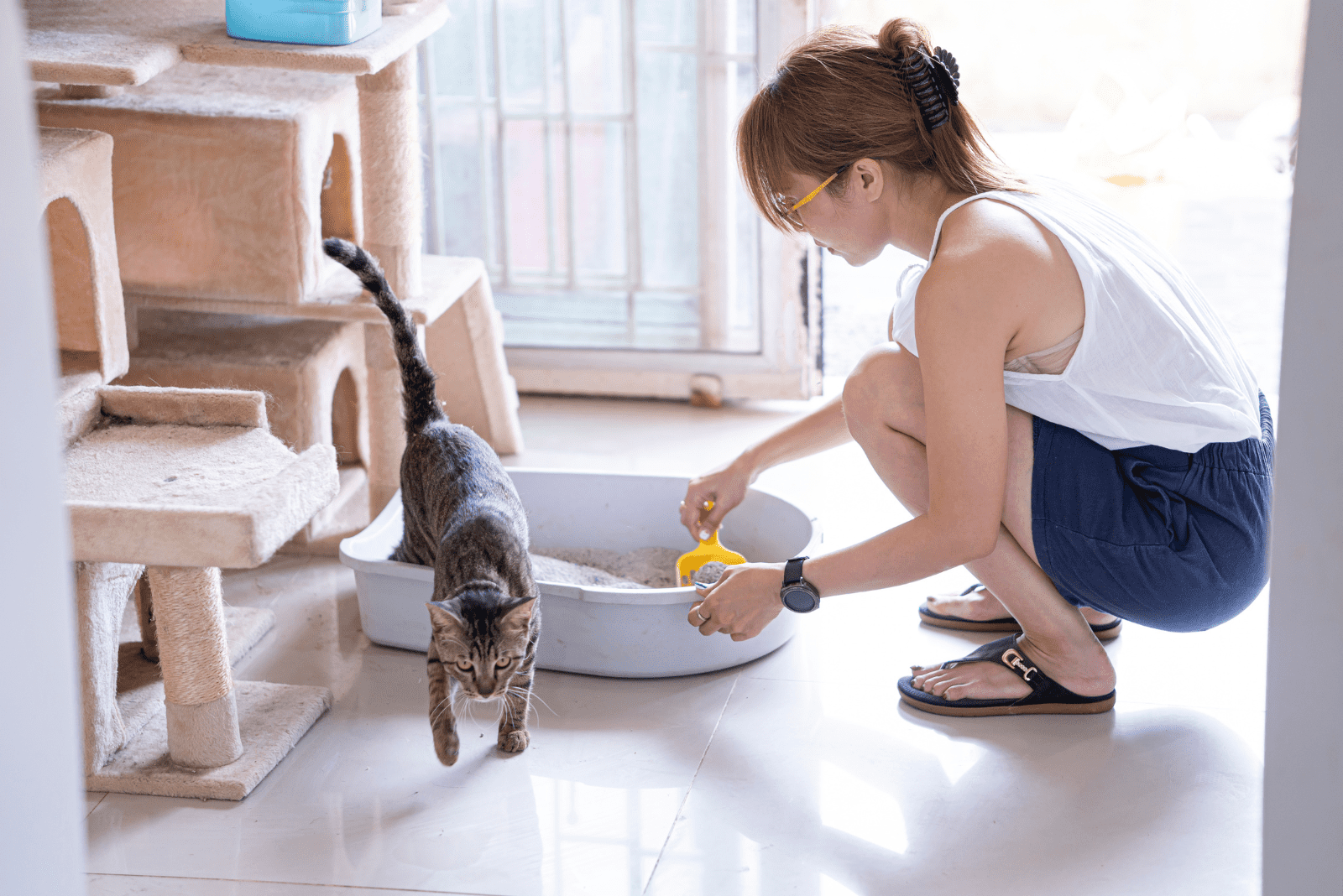 een vrouw maakt kattenbakvulling schoon