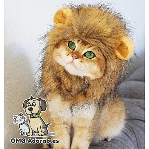 OMG Adorables Leeuw Manen Kostuum voor Katten