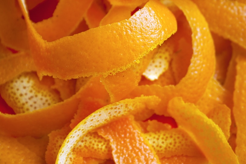 sinaasappelschil_kisa2014_Shutterstock