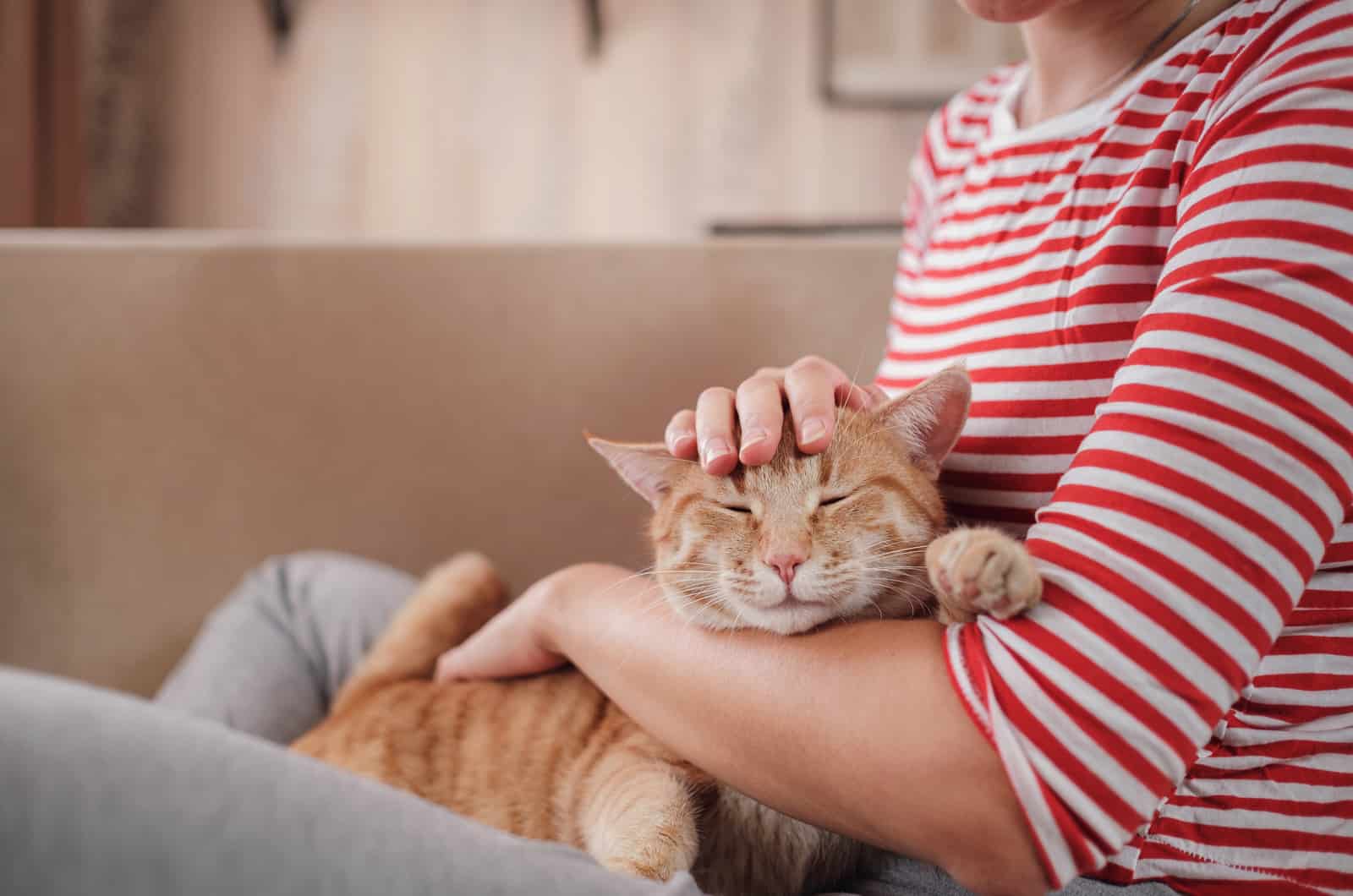 vrouw ontspannen met haar gember tabby kat