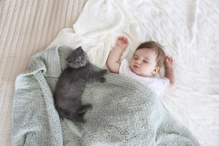 Baby dutten met kitten