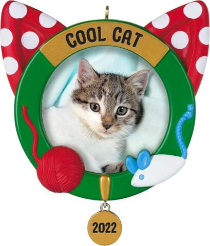 2022 Cool Cat Ornament Fotolijst