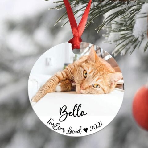Gepersonaliseerde Pet Memorial Christmas Ornament