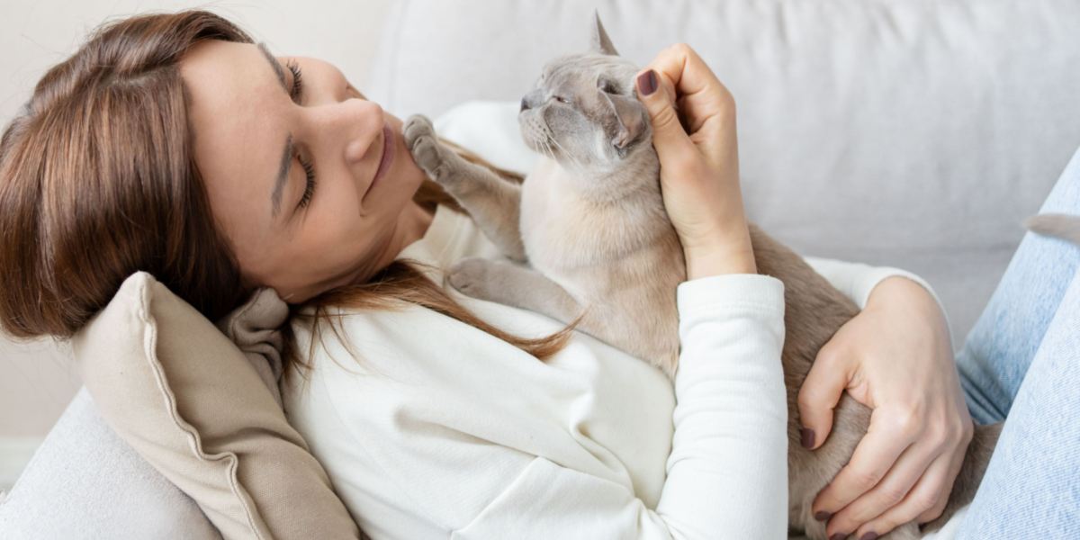 Waarom zitten katten op je borst? 10 redenen waarom!