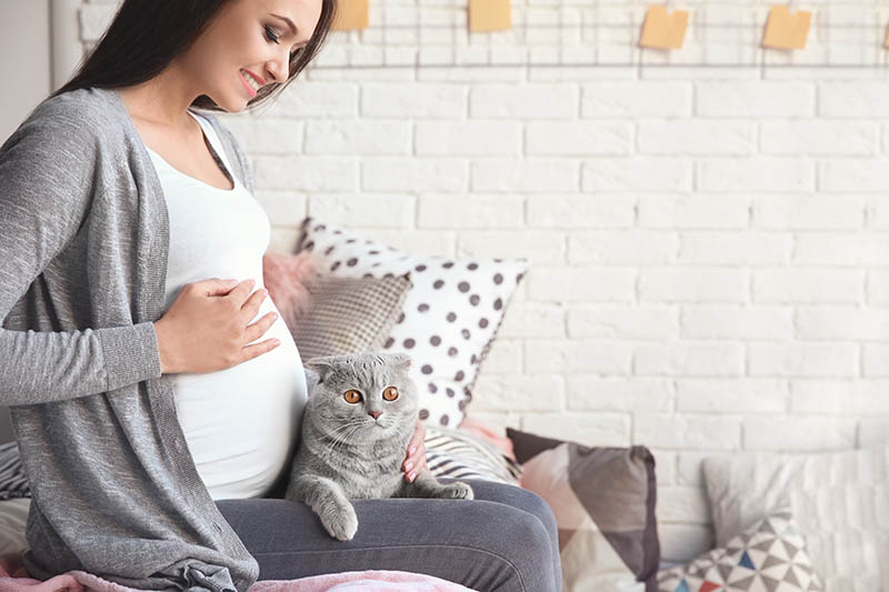 Zwangere jonge vrouw met huisdierkat
