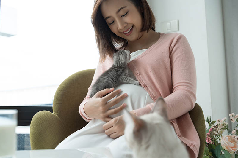 Aziatische zwangere vrouw houdt een kitten op haar buik