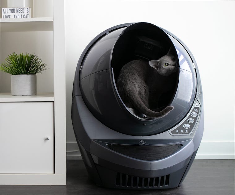 grijze kat in grijs Strooisel-Robot zelfreinigende kattenbak