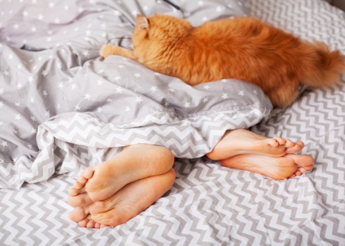 mens slapen op bed met kat