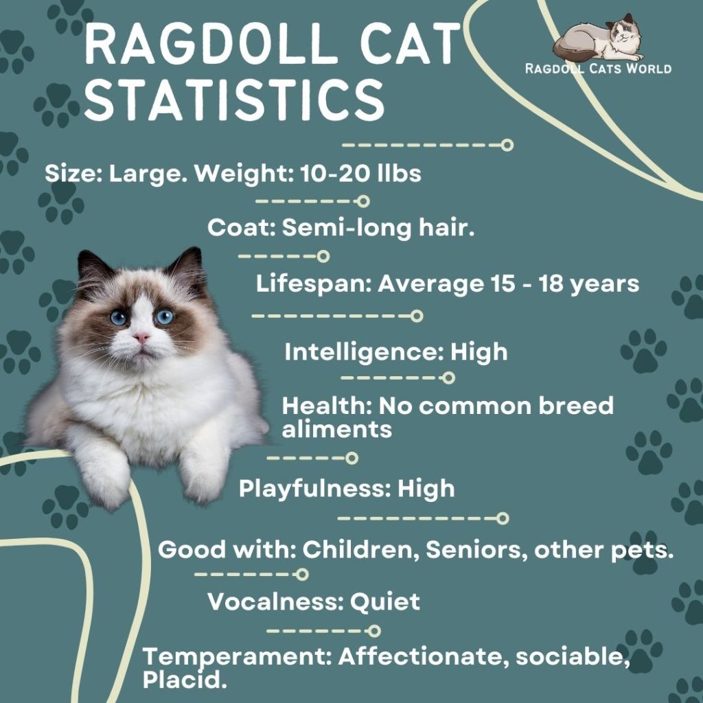 Ragdoll Cat Statistieken
