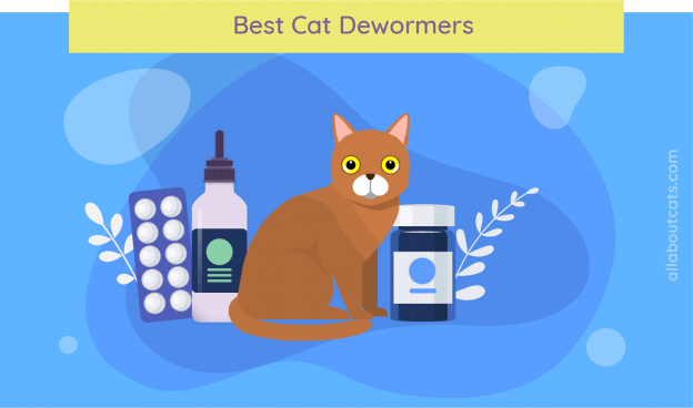 Beste kattenontwormers