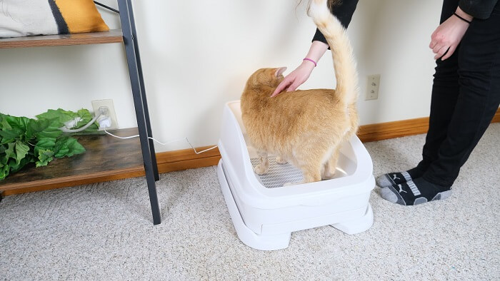 Het instellen van de Toletta kattenbak kattendetectie