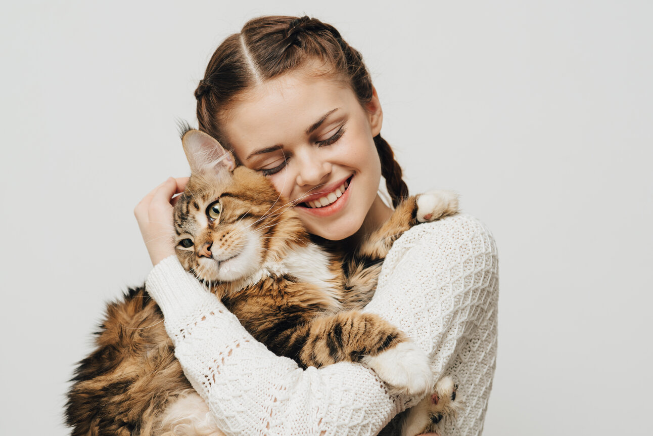 houden katten van knuffels?