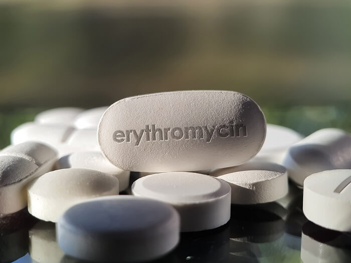 Erytromycine voor katten: Overzicht, Dosering &Bijwerkingen