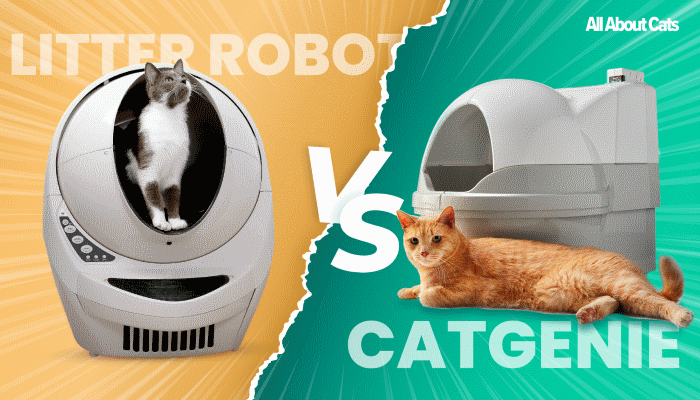 Litter-Robot vs CatGenie - gekocht en getest