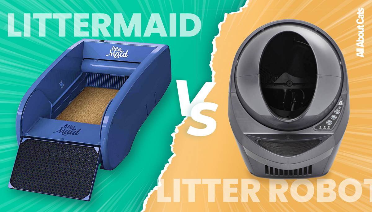 Litter-Robot vs LitterMaid - Gekocht en getest