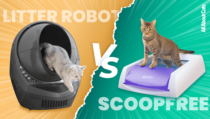 Litter-Robot vs ScoopFree Review - Gekocht en getest