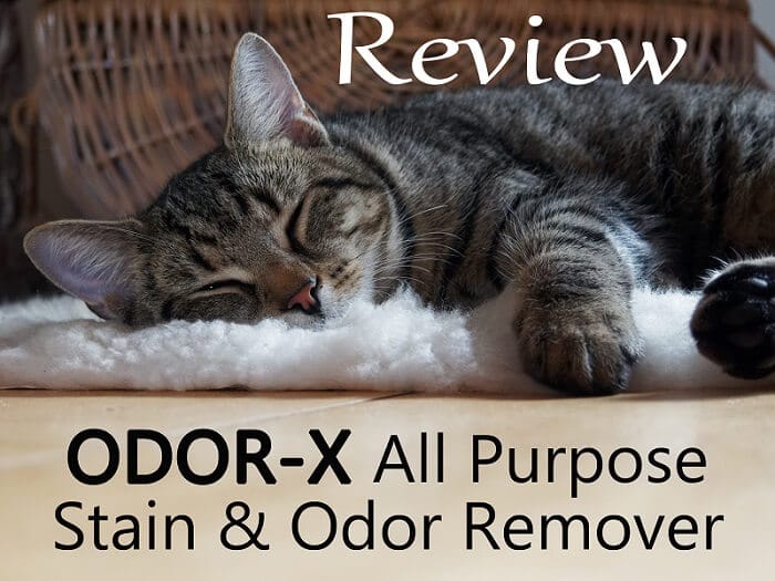 ODOR-X All Purpose Stain And Odor Remover Review