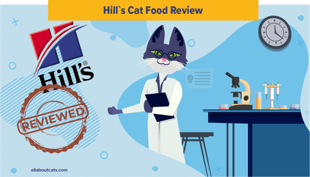 Onbevooroordeelde Hill's Cat Food Review in 2022