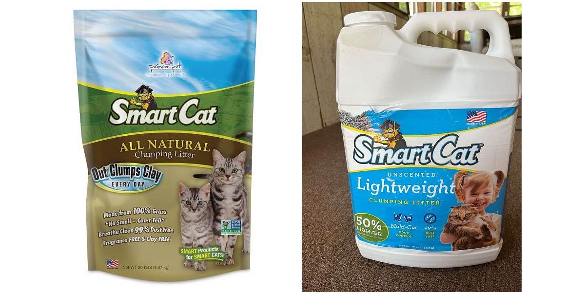 Pioneer Pet SmartCat Clumping Kattenbakvulling Review