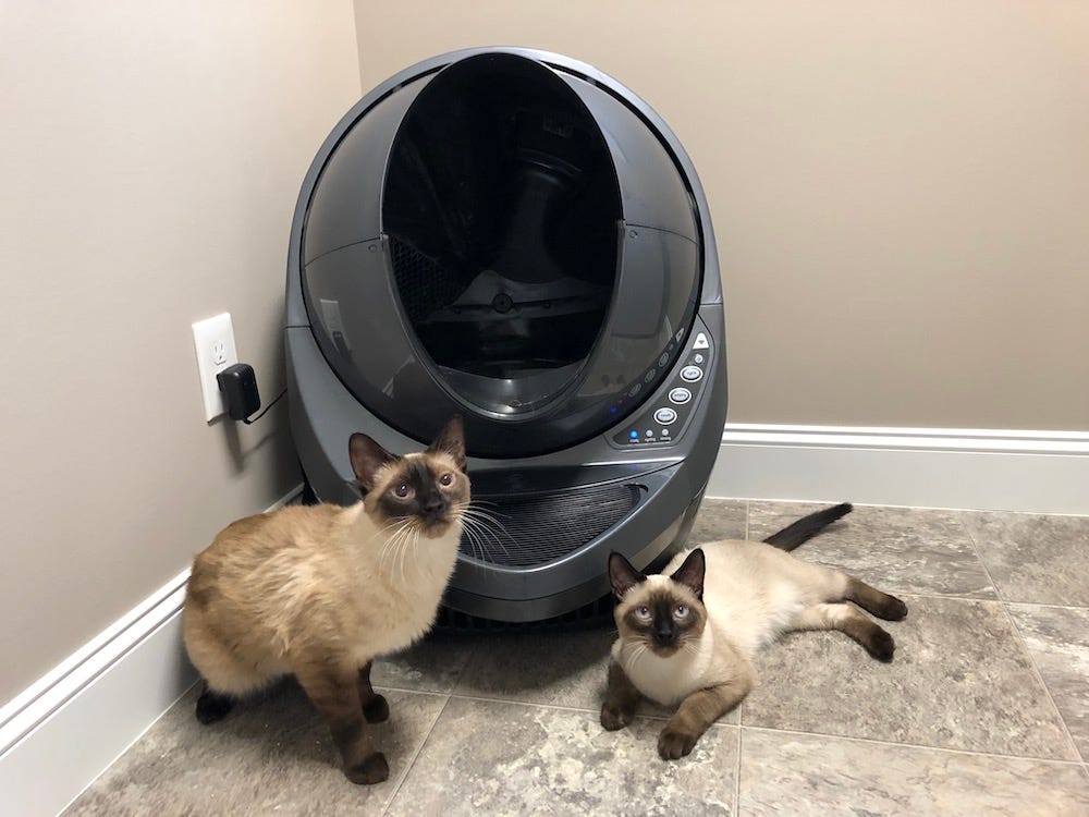 twee Siamese katten naast Litter-Robot