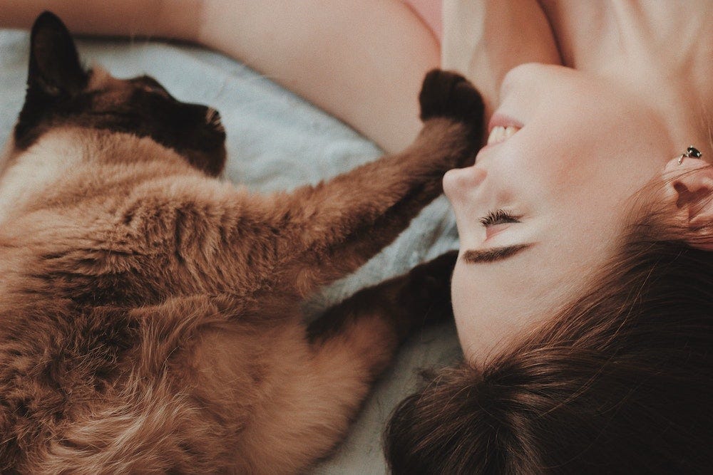 Siamese kat ligt met poot op het gezicht van de vrouw