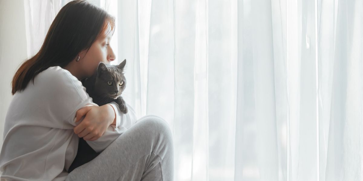 Weten katten wanneer je verdrietig bent?