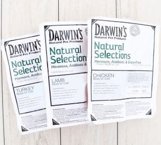 Darwin's Natural Pet Natural Selections™ Lam Raw Cat Food