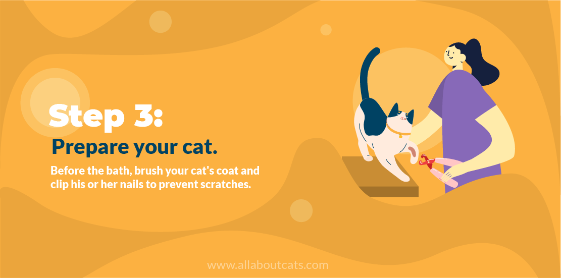 Hoe een kat een bad te geven Stap 3 Bereid uw kat voor