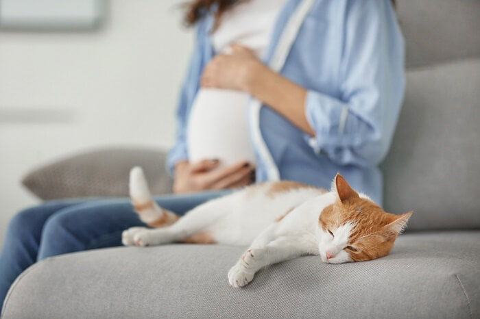 Zwangere vrouw met oranje en witte kat op een grijze bank.