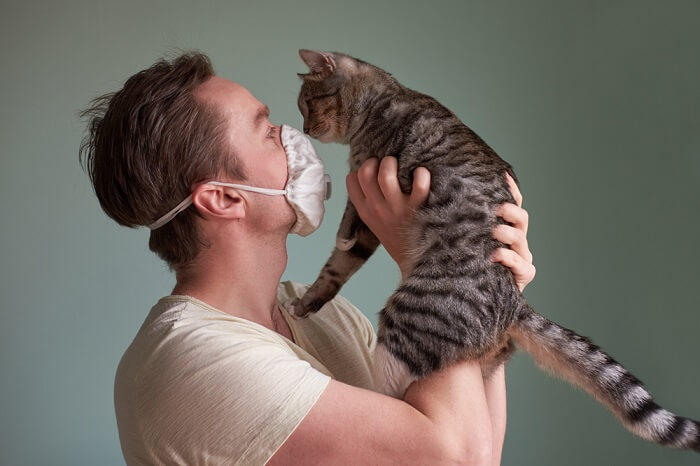 Longontsteking bij katten: oorzaken, symptomen & behandeling