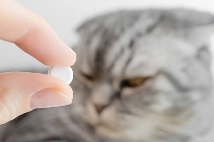 aspirinevergiftiging bij katten