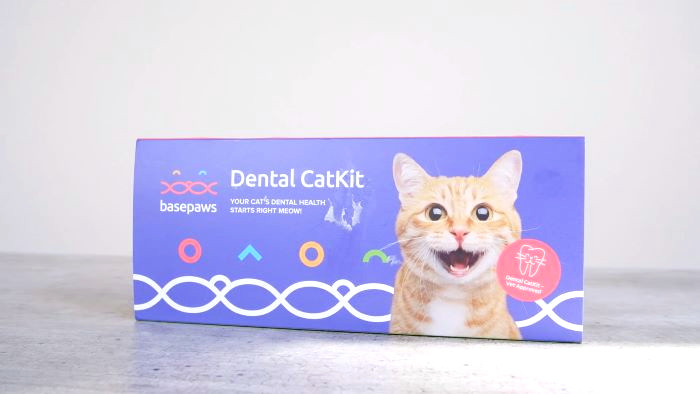 Basepaws Dental Health Test Review Functie