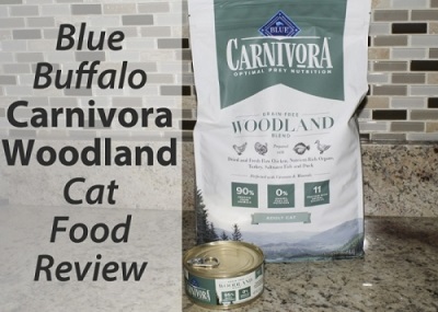 Blue Buffalo Carnivora Woodland Cat Food Review - Stopgezet