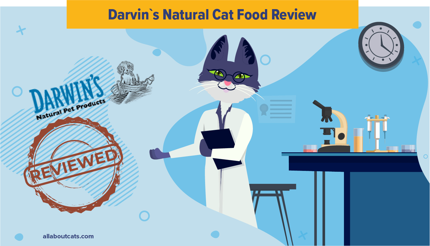 Darwin's Natural Cat Food Beoordeling