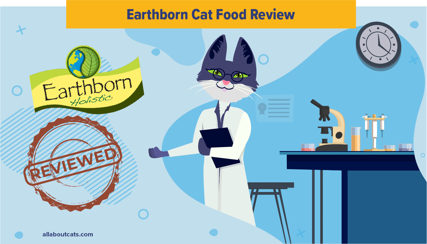 Earthborn Kattenvoer Review