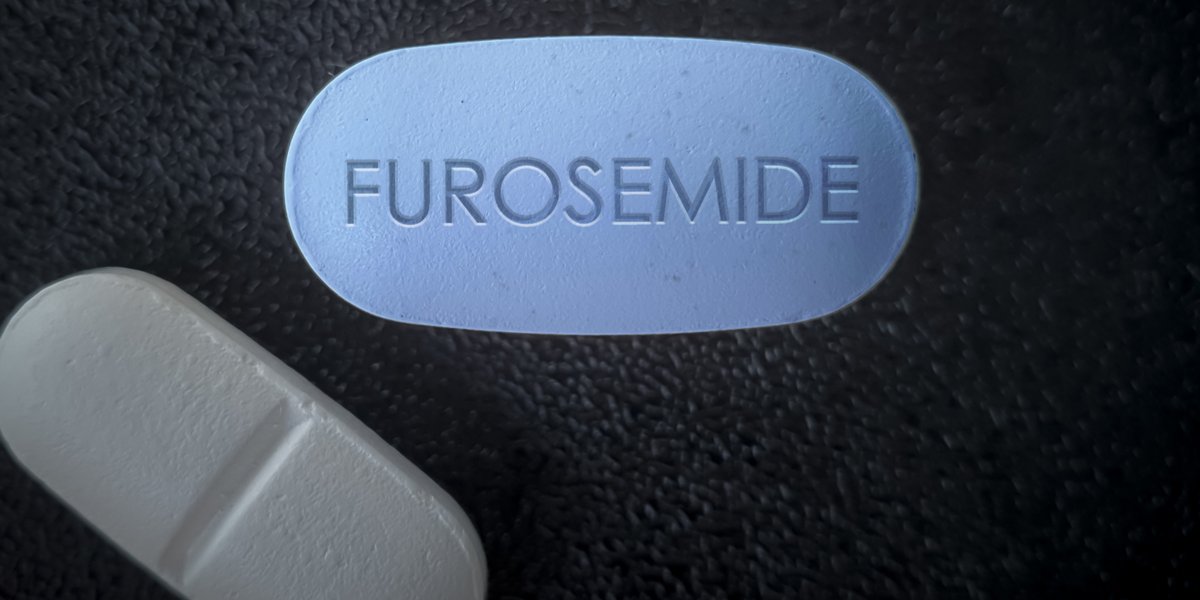Furosemide voor katten: Overzicht, Dosering &Bijwerkingen