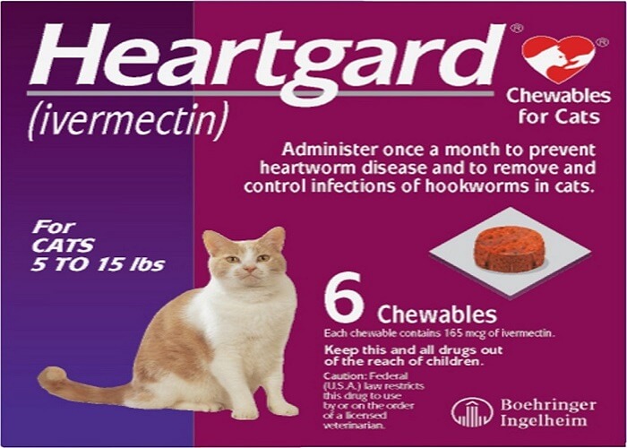 Heartgard Plus voor katten: Overzicht, Dosering &bijwerkingen