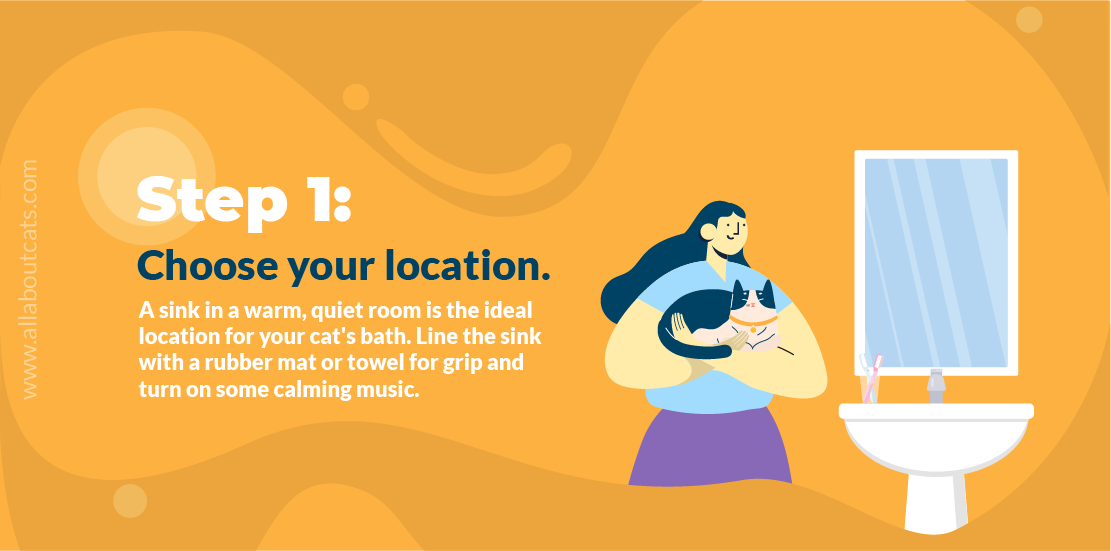 Hoe een kat een bad te geven Stap 1 Voorbereiding