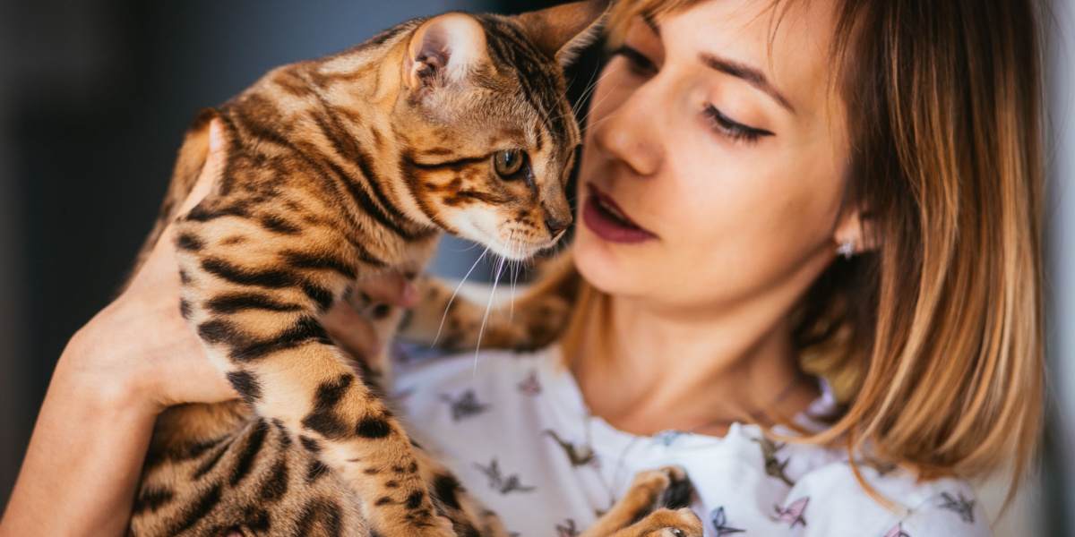 Hoeveel aandacht hebben katten nodig? Een dierenarts legt uit