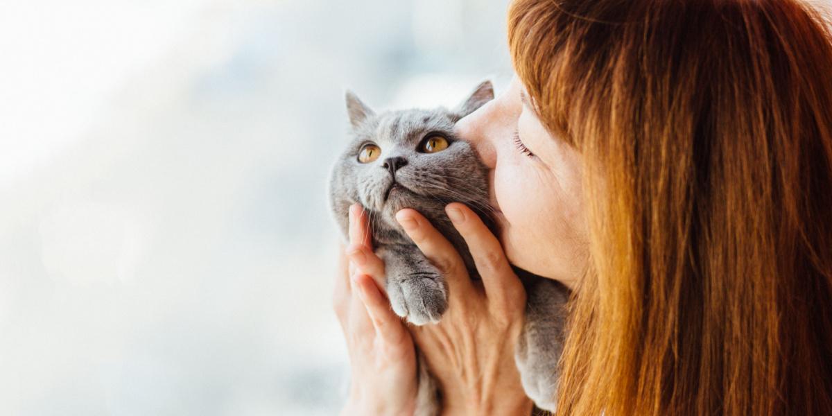 Houden katten van en begrijpen ze kussen?