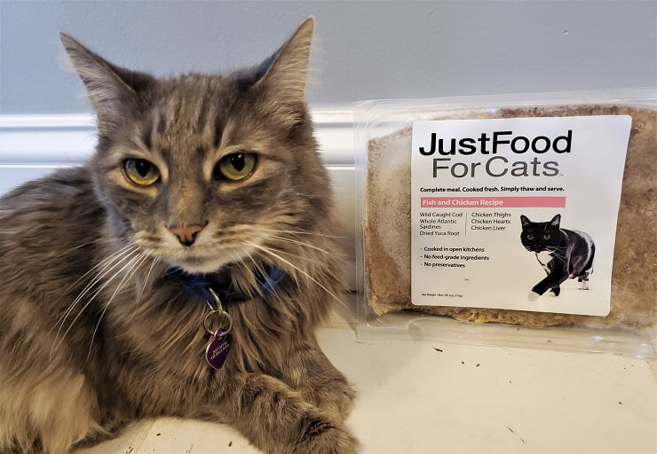 Just Food For Cats Kattenvoer Review