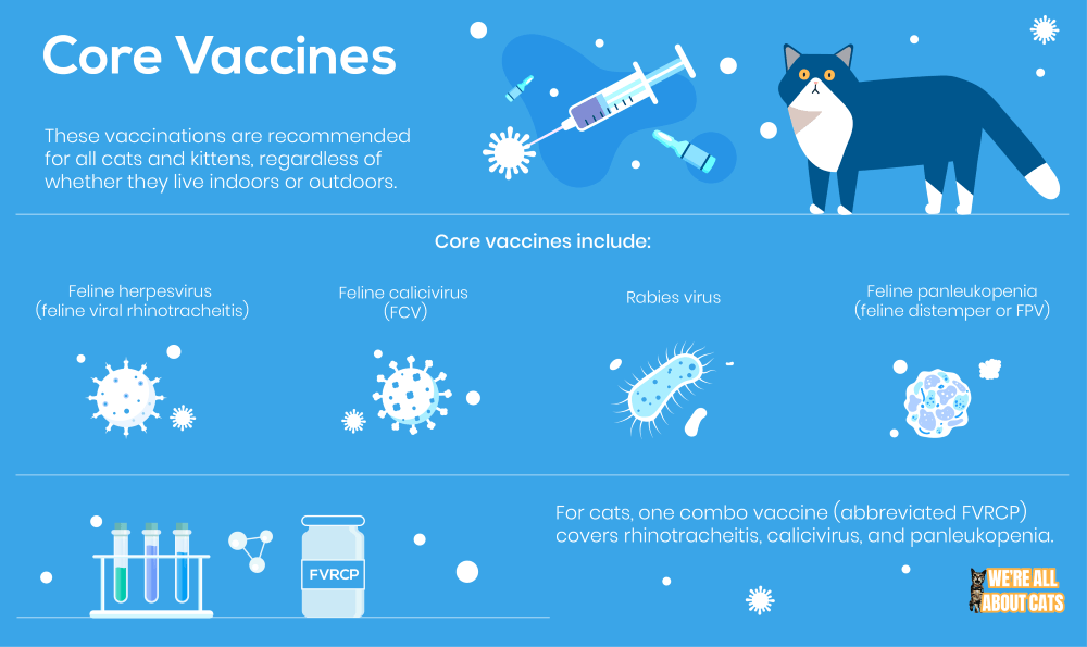 Kernvaccins