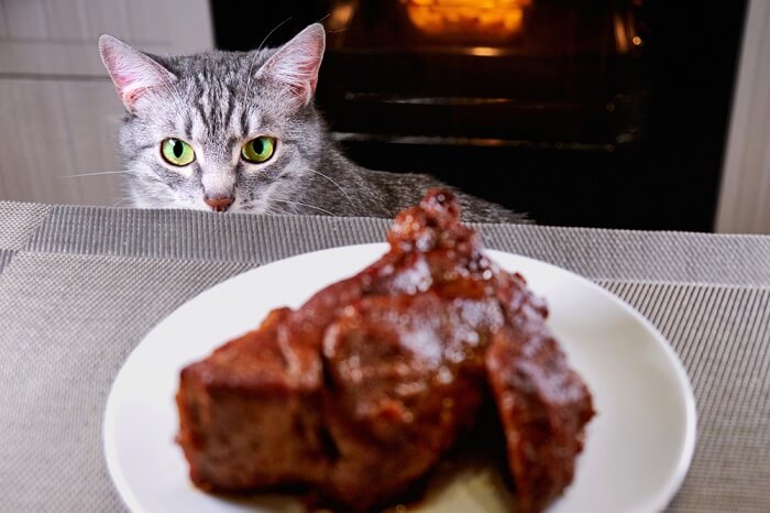 Kunnen katten biefstuk eten
